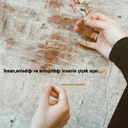 mevcu galbi sozleri arapca okunusu