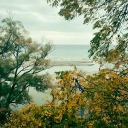 Tu Nombre Lyrics And Music By Miel San Marcos Arranged By Dxnnyzordo You are on page 1of 7. smule