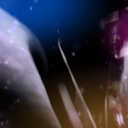 i get the bag now i get the north face