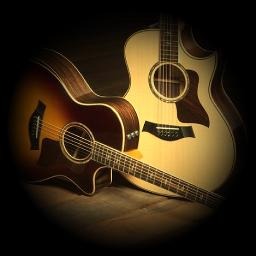 アコースティックギター シルエット 無料の人気アイコン