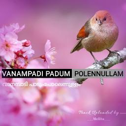 paadum vanampadi movie paadum vanampadi movie