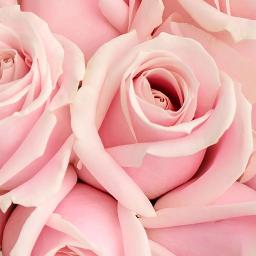 ただ 逢いたくて Lyrics And Music By Exile Arranged By Ronn0224