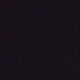 騒がしい 日々 に 笑え なくなっ てい た 僕 の 目 に 映る 君 は 綺麗 だ