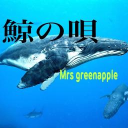 印刷可能 クジラ フリー素材 人気の検索アイコン