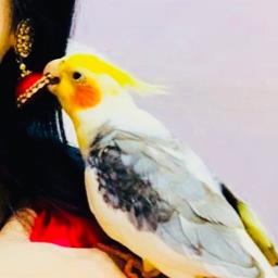 Er Beshi Valobasha Jai Na Lyrics And Music By Shafiq Tuhin Aurin Arranged By Mahbub25 er beshi valobasha jai na lyrics and