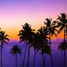 君は1000 Kimi Wa 1000 Lyrics And Music By 1986 Omega Tribe Carlos Toshiki 1986オメガトライブ カルロス トシキ Arranged By Mebari Utan