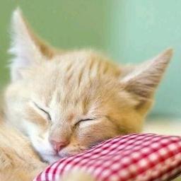 この空の向こう ドキドキ プリキュアed Tvサイズ Lyrics And Music By 吉田仁美 Arranged By Nana 777