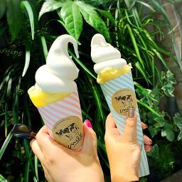 Hacchi8 S Profile Smule