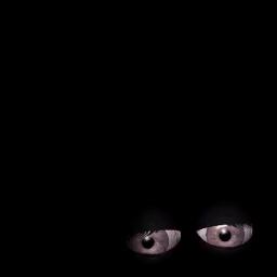 Kitta Nerungi Vaadi Lyrics And Music By Vijay Antony Dishoom Arranged By Fernandez Sszi kitta nerungi vaadi lyrics