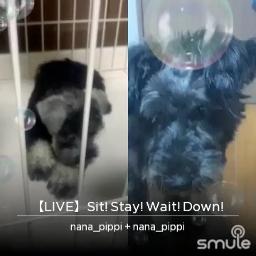 Live Sit Stay Wait Down Lyrics And Music By 安室奈美恵 Arranged By Tk From 908