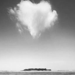 白い雲のように Lyrics And Music By 猿岩石 Arranged By 22thfox