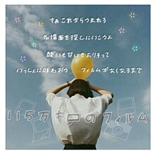 万 キロ フィルム 115 の