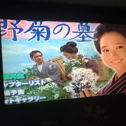 花一色 野菊のささやき 松田聖子 Lyrics And Music By 松田聖子 Arranged By Tatsu