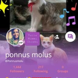 Aru Paranju Meow Kathu Song Lyrics And Music By Rajkiran Adoor Arranged By 0000 Raj Prime12 aru paranju meow kathu song lyrics