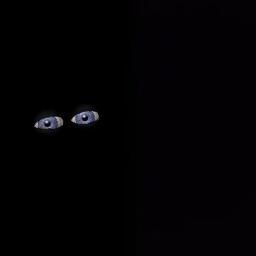 Stay A Little Longer Lyrics Half Girlfriend Lyrics And Music By Anushka Shahaney Arranged By Asteriskyou stay a little longer lyrics half