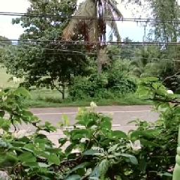 Captivate Us Lyrics And Music By Watermark Arranged By Lifefullofjoyce 3 times this week / rating: captivate us lyrics and music by