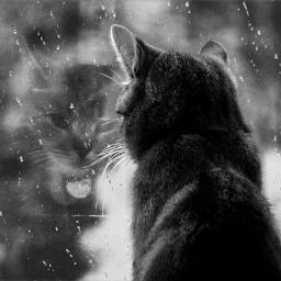 雨 森高千里 Lyrics And Music By 森高千里 Arranged By Yuki0513