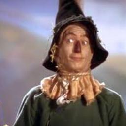if i only had a heart wizard of oz jr