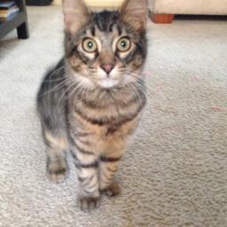 Next To You Lyrics And Music By Mike Jones Arranged By Diego Arago115