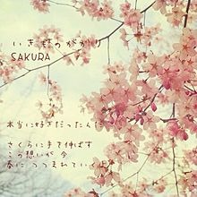 Sakura 5 男性キー いきものがかり Lyrics And Music By いきものがかり Arranged By Mickeyhhh