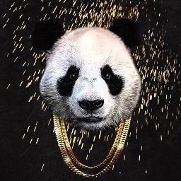 Lirik Panda Desiigner Python