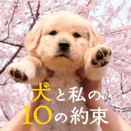 朗読 犬と私の10の約束 Lyrics And Music By Tcz Mikachu Arranged By Mikachu