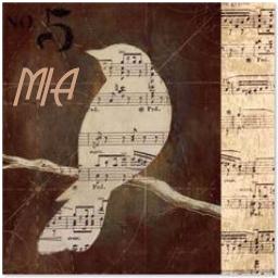 Liar Lyrics And Music By Profyle Arranged By Gem Dwaynec Mia Liar, cheater, heartbreaker from the story direct message // luke hemmings by xxyoutubergirlxx (kate) with 205 reads. smule