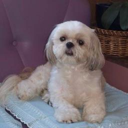 私だけの天使 Angel Lyrics And Music By 松田聖子 Arranged By Rinmama618