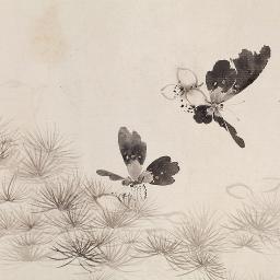 Swallowtail Butterfly Lyrics And Music By Chara Arranged By Takkutakahiro