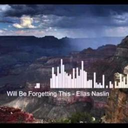 Will Be Forgetting This Lyrics And Music By Elias Naslin Arranged By Bunnyplayer97