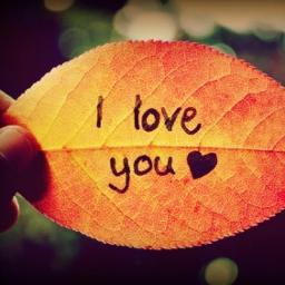 I Love You Lyrics And Music By Ozaki Yutaka Arranged By Shino65