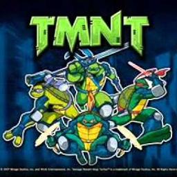 Teenage Mutant Ninja Turtles 2003 Fast Forward Theme Song By Keepmeposted25 On Smule