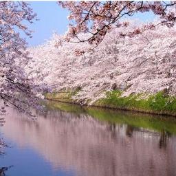 滝廉太郎 花 滝廉太郎 合唱 ローマ字 By Natsuko285 On Smule