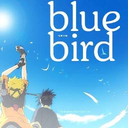 Blue Bird Naruto Tv Size Lyrics And Music By Ikimono Gakari Arranged By Arise