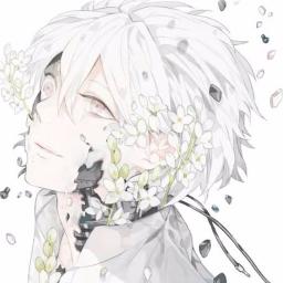 Kokoronashi Lyrics And Music By Acousticshortver Arranged By Noeru