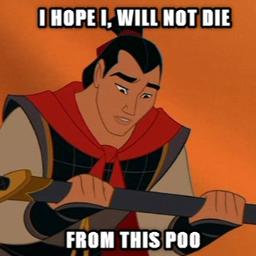 I Will Not Die From This Poo Lyrics And Music By Mulan Parody