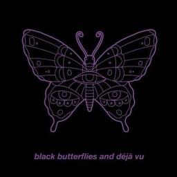 Black Butterflies And Deja Vu Lyrics And Music By The Maine
