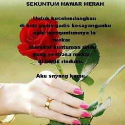 Not Angka Bunga Mawar Merah Sekitar Musik
