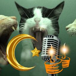 Suasana Hari Raya Akustik Anuar Elina Lyrics And Music By