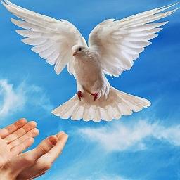 Roh Kudus Datanglah Cover By Er Hu Rm Yandhie Lyrics And Music By Pdt Isaac Arief Susanto Arranged By Budisetyawan82