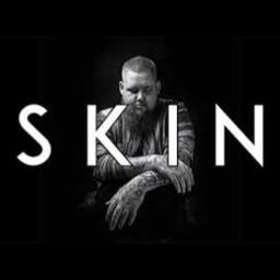 skins rag n bone man