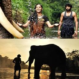 Ayayayoo Aananthamey Lyrics And Music By Haricharan D Imman Arranged By Mohan Krish007 smule