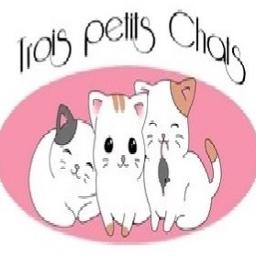 3 Petits Chats Lyrics And Music By Comptines Arranged By Thavany33