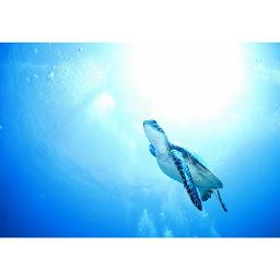 Slow And Easy ５ Lyrics And Music By 平井大 Arranged By Yumingootara