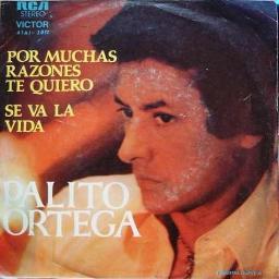 Por Muchas Razones Te Quiero Lyrics And Music By Palito Ortega Arranged By Dm Roberto lyrics and music by palito ortega