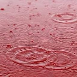 Red Rain Lyrics And Music By Peter Gabriel Arranged By Pwm Marcello