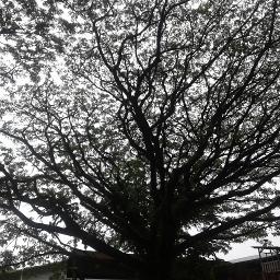 Oh My Little Girl Lyrics And Music By Yutaka Ozaki Arranged By Oemar1225