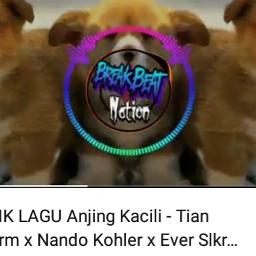 24++ Anjing kacili lirik ideas