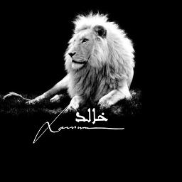 Khaledمالي بالطيب نصيب Lyrics And Music By عبادي الجوهر Arranged