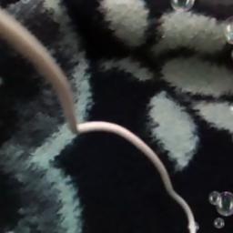 Jai Jai Bhairavi Raag Bhairavi Udit Narayan Lyrics And Music By Udit Narayan Vidyapati Arranged By Nirajk531 jai jai bhairavi raag bhairavi udit